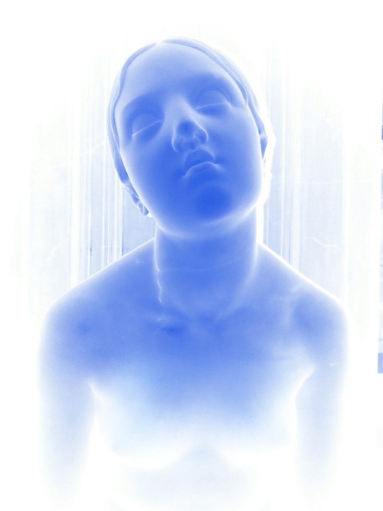 Blue blood