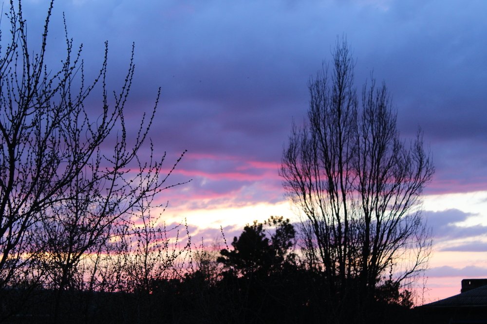 Малиновый вечер