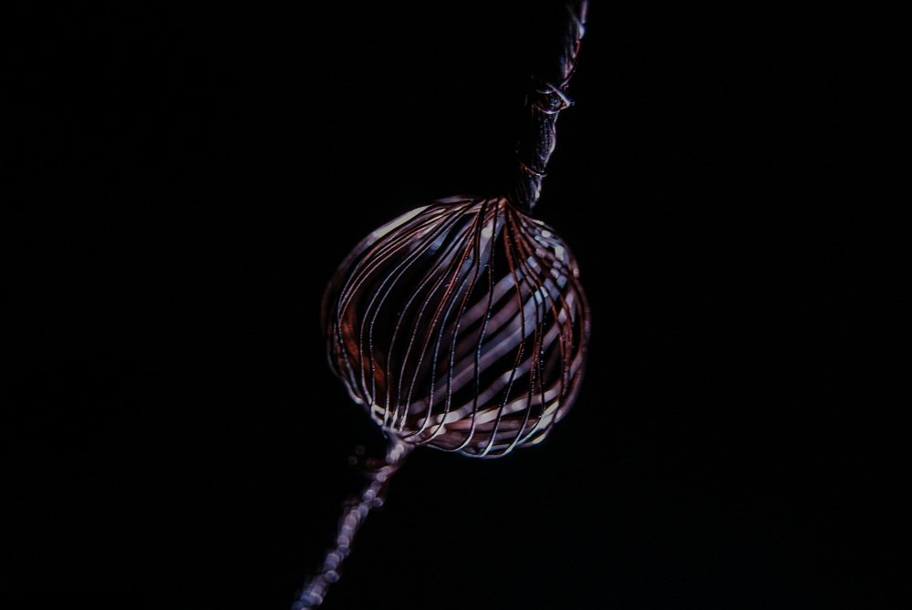 Copper Wire Ball