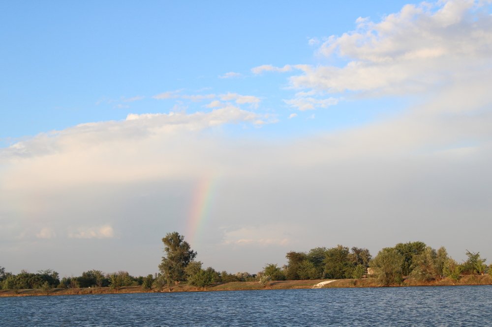 Летний мотив