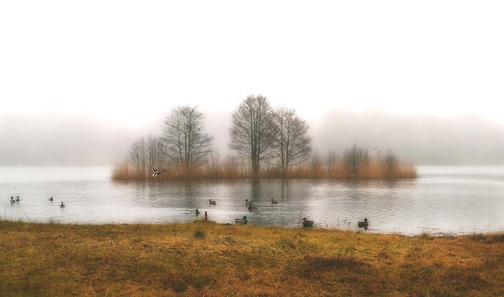 Мелодия тишины ...