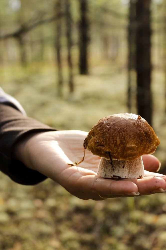 Photograph by Юсупова Елена