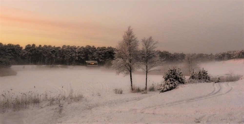 Однажды зимним вечером ...