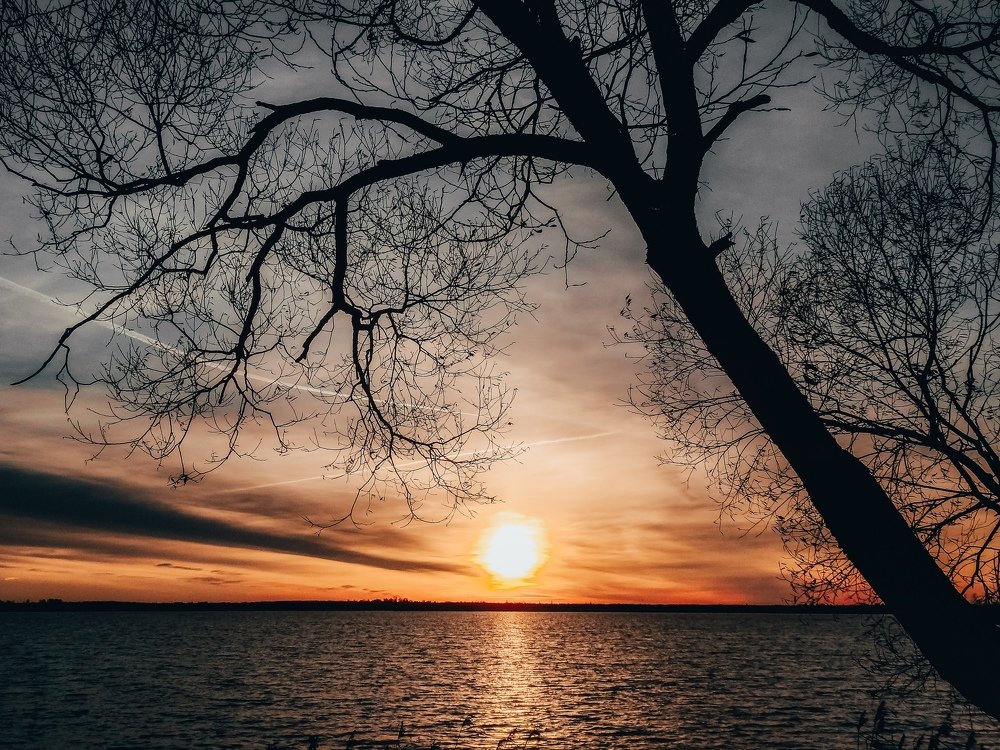 рассвет над озером)