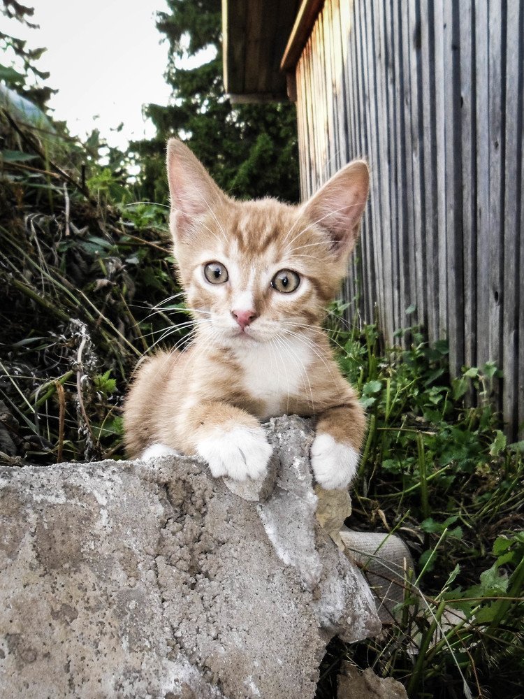 Photograph by Jana Kolostov