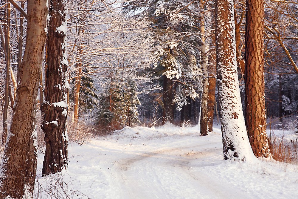 Зимняя дорога ...