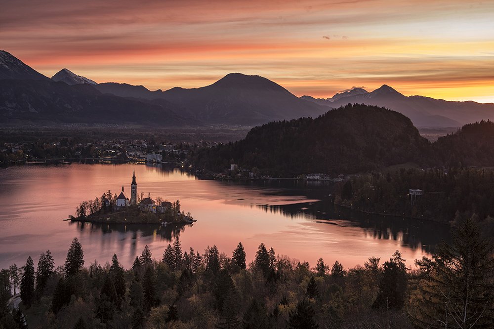 Bled