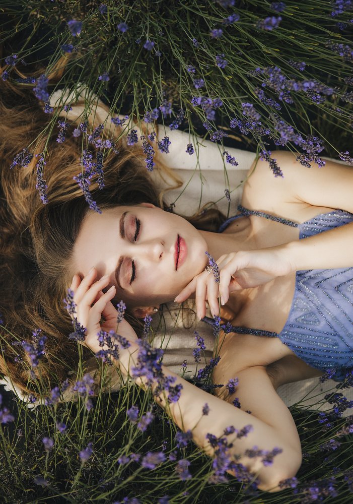 Утро в лаванде