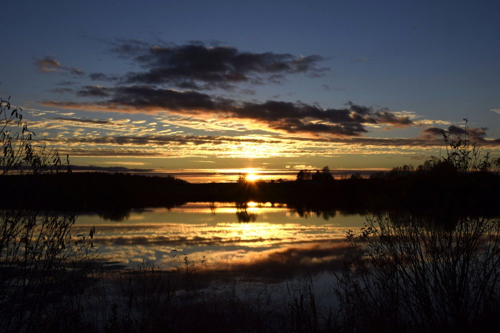 Закат на пруду