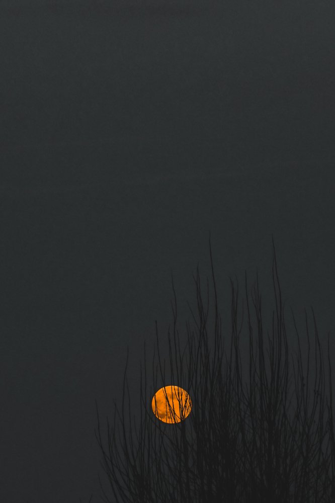 Восход Луны))