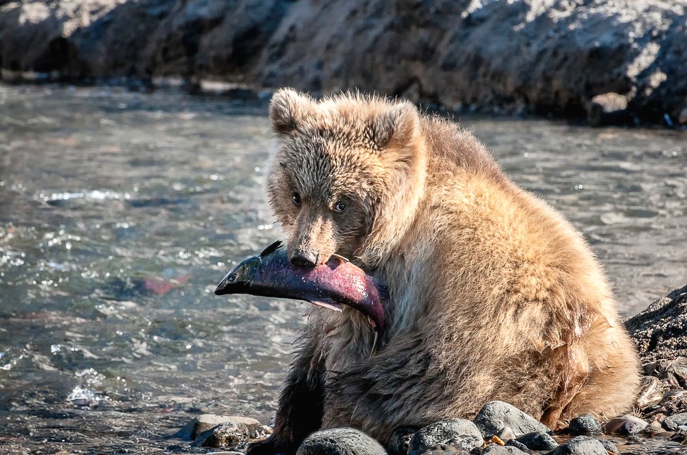 Мой первый улов. Съесть самой или поделиться с мамой?