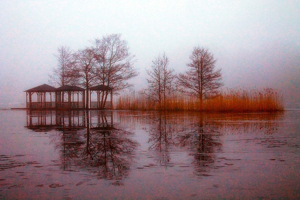 Мелодия тишины ... Туманное утро ...