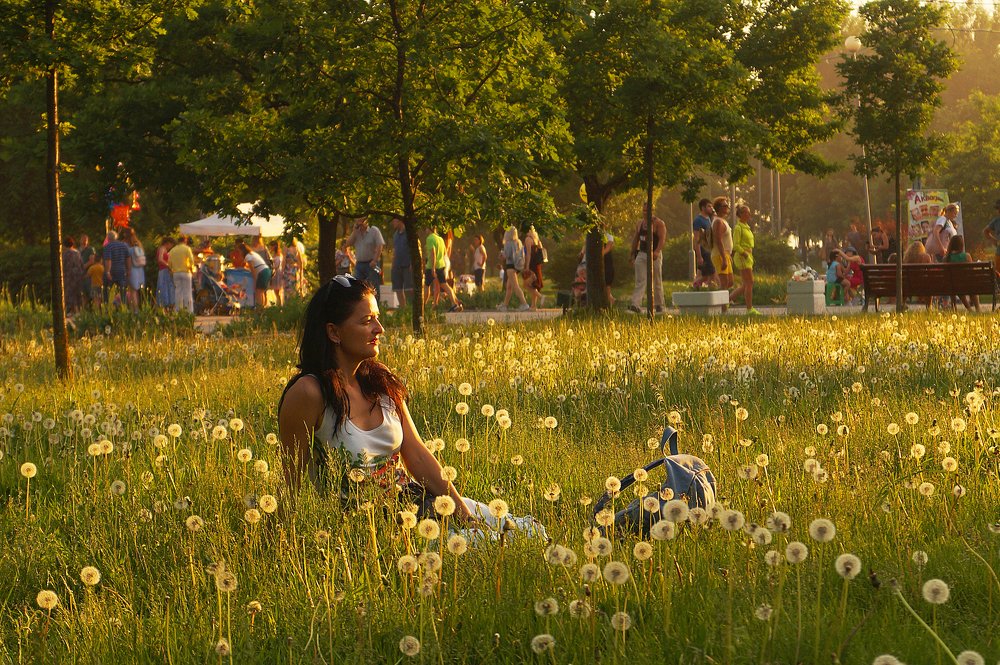 Отдых в парке на лужайке.