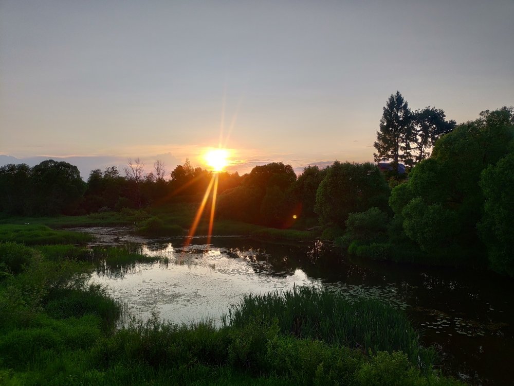 Photo #3469516
