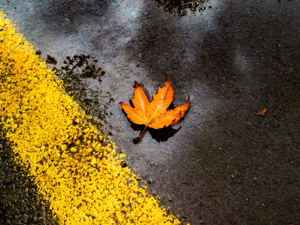 photo take with mobile