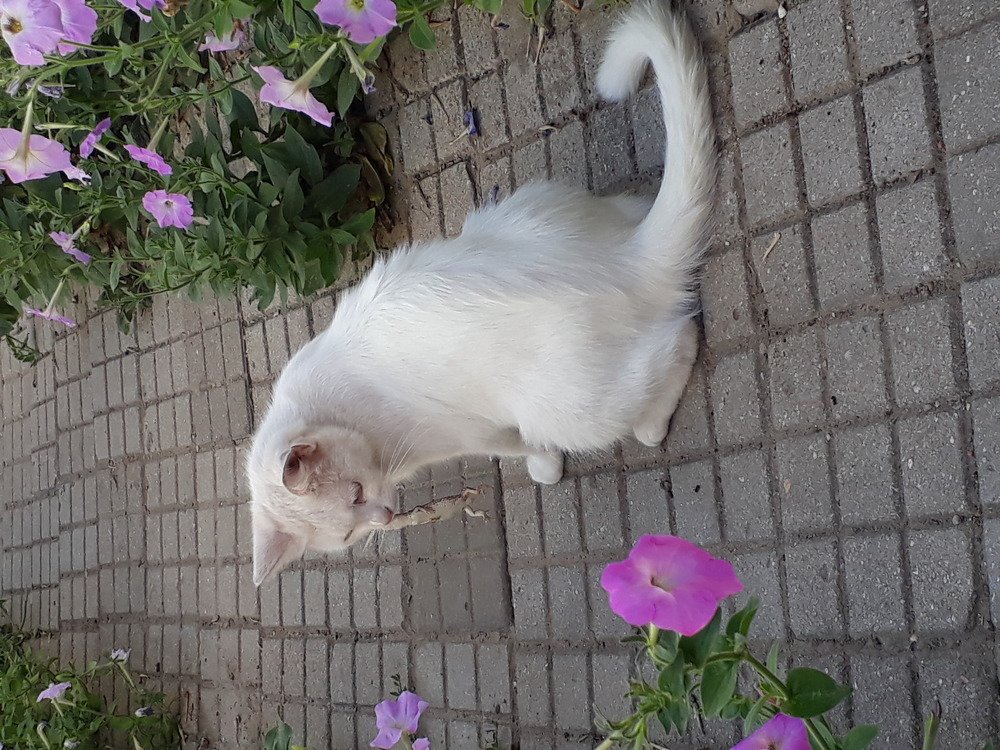 Photograph by Ирина Копанева