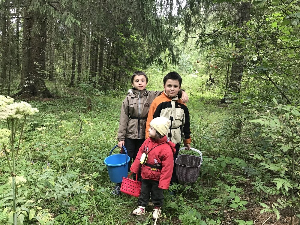 Прогулка в тайге