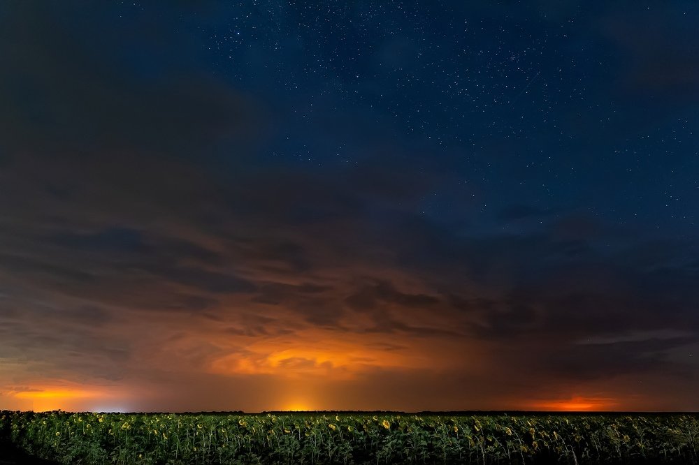 Photograph by Владимир Салапонов