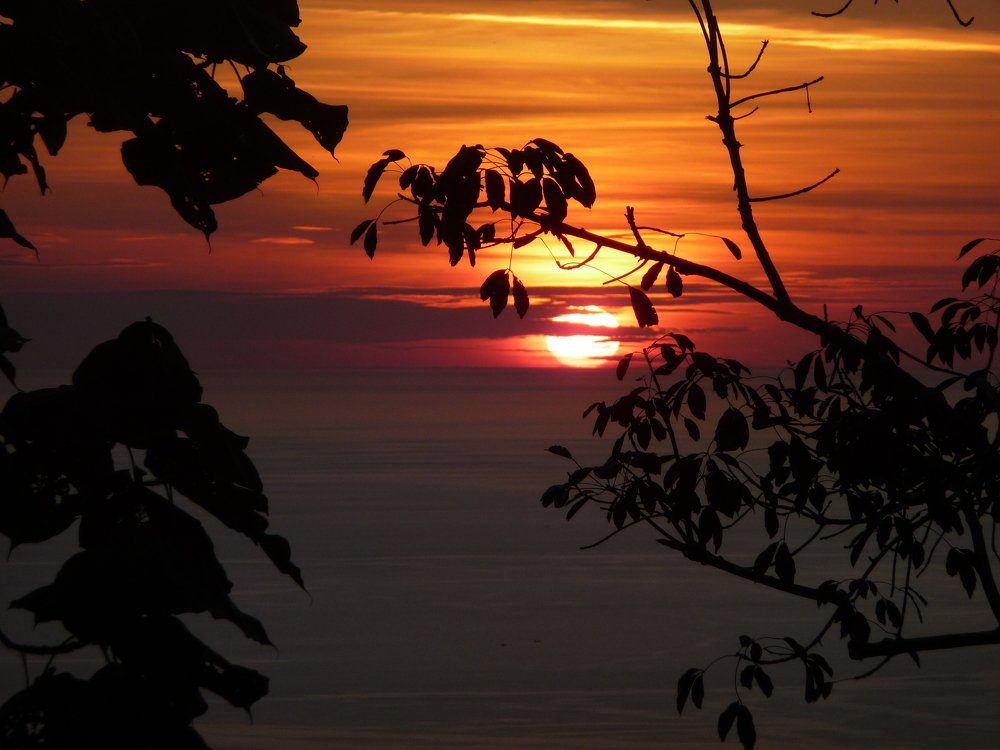 Photo #3469755