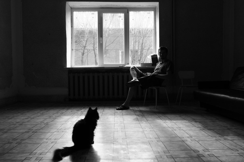 Человек и кошка.