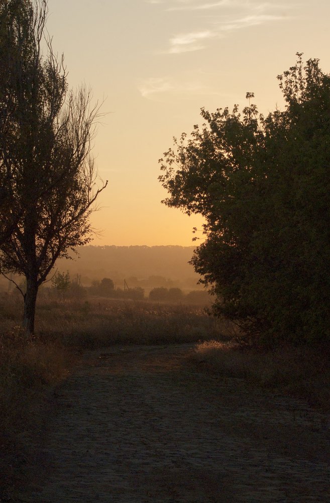 Photograph by Игорь Мальцев