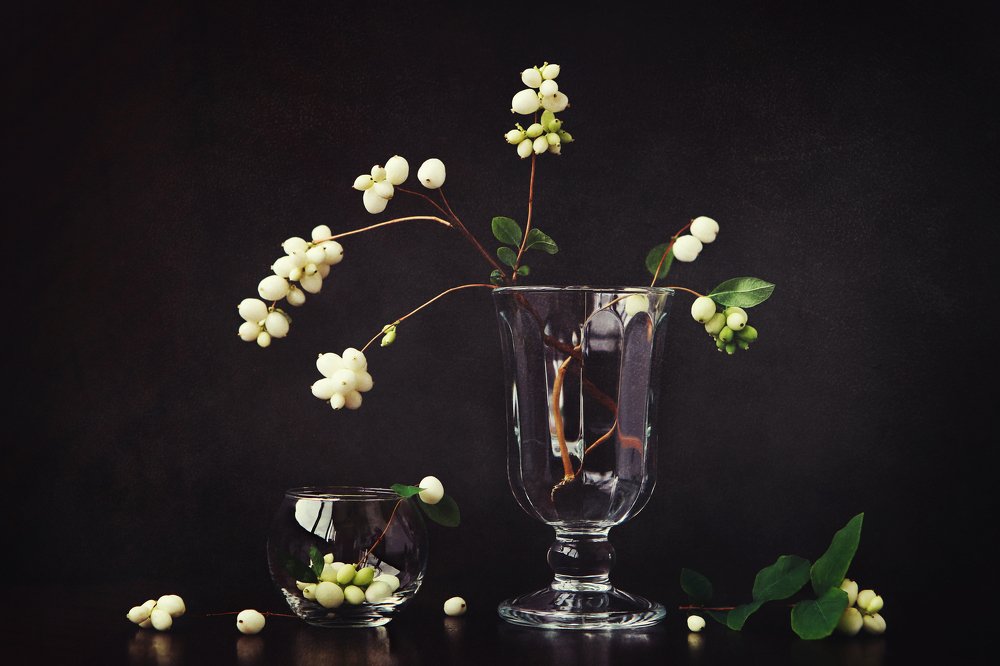 Photograph by Ольга Литвинова