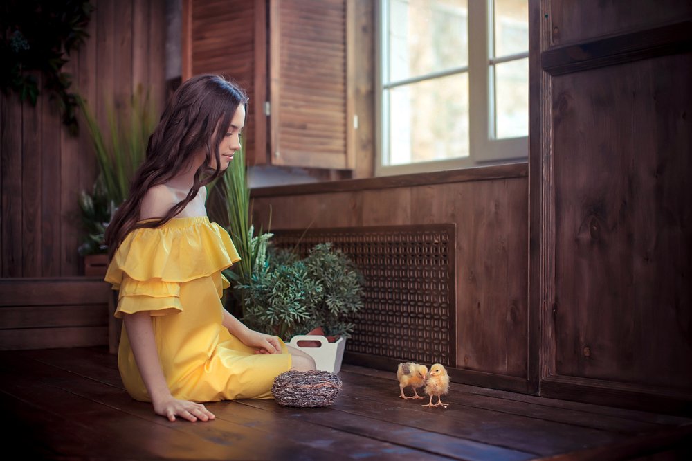 Забавные цыплята