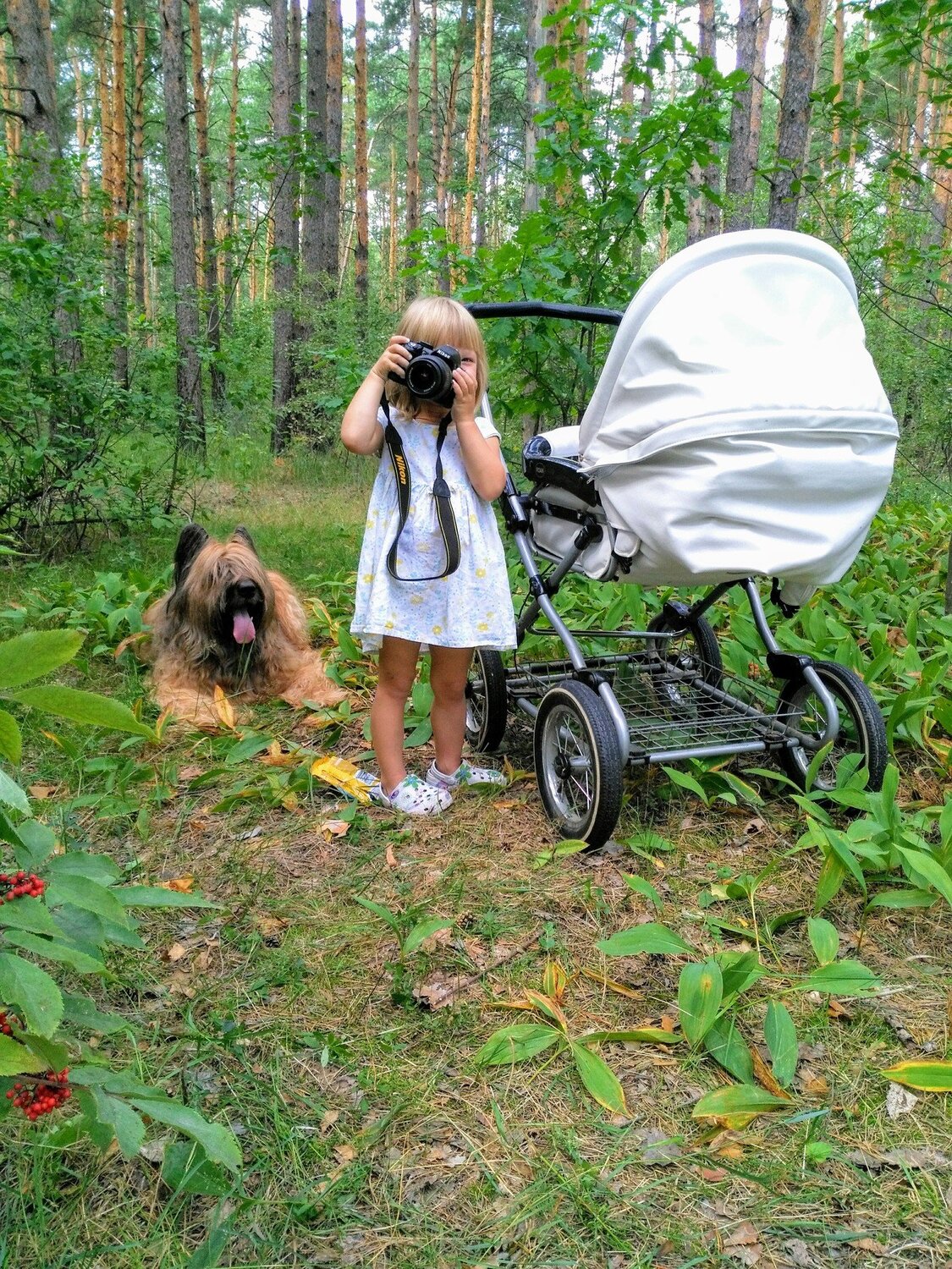 Маленький фотограф