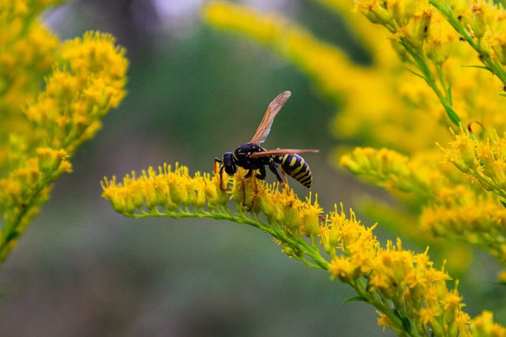 Photograph by Дмитрий Тимин