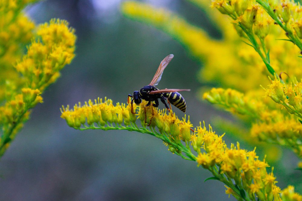 Photograph by Дмитрий Тимин