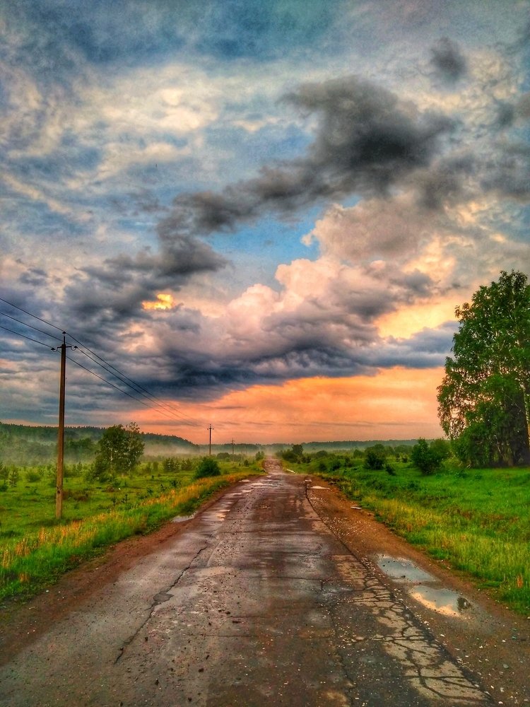 After the rain + fog