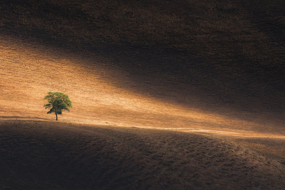 Фотография автора Yevgeny Anatolyevich