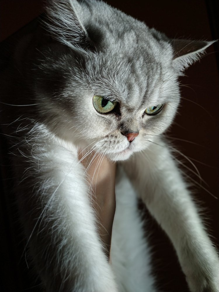 Photograph by Галина Кузнецова