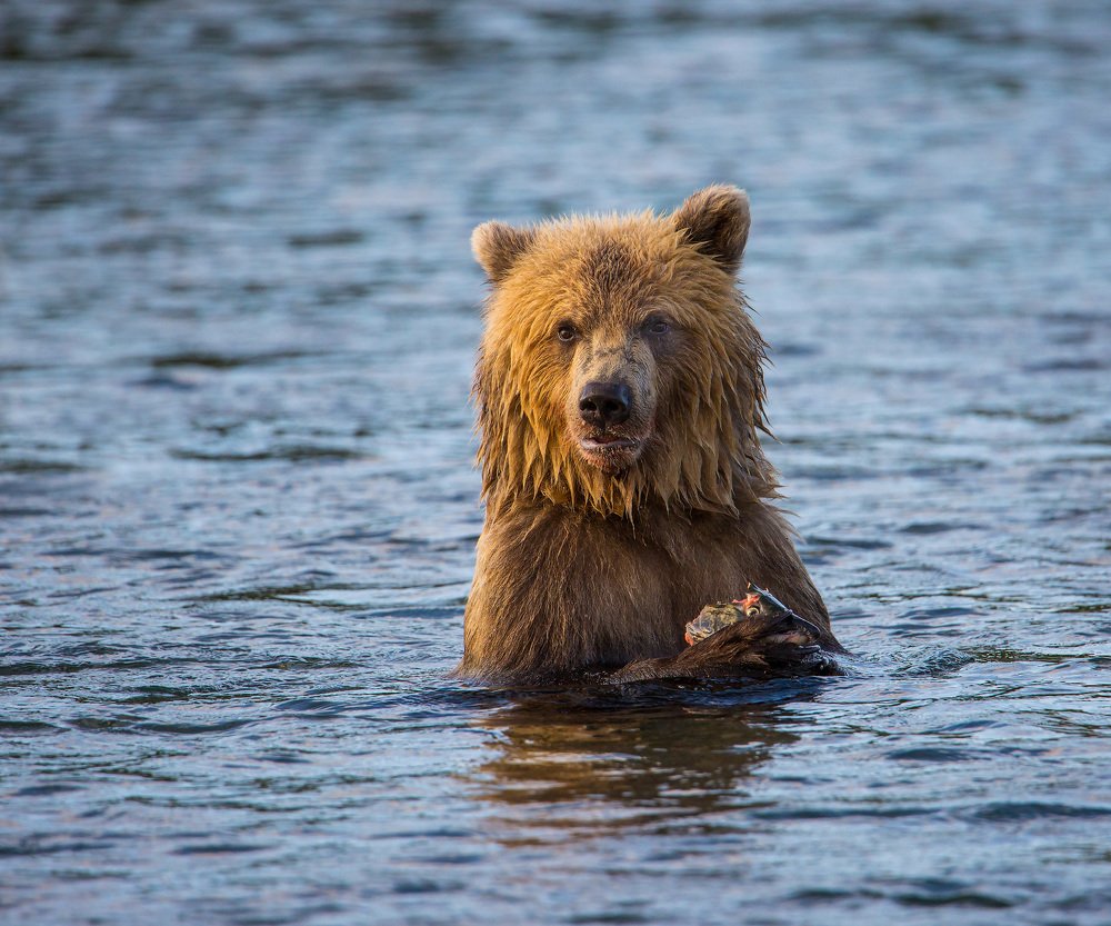 Photograph by Александр Ильин