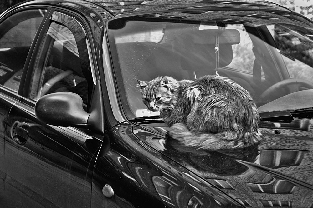 Пригретое место