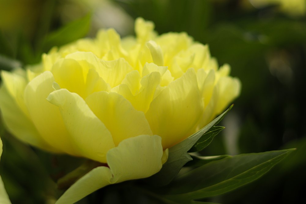 Photograph by Галина Кузнецова