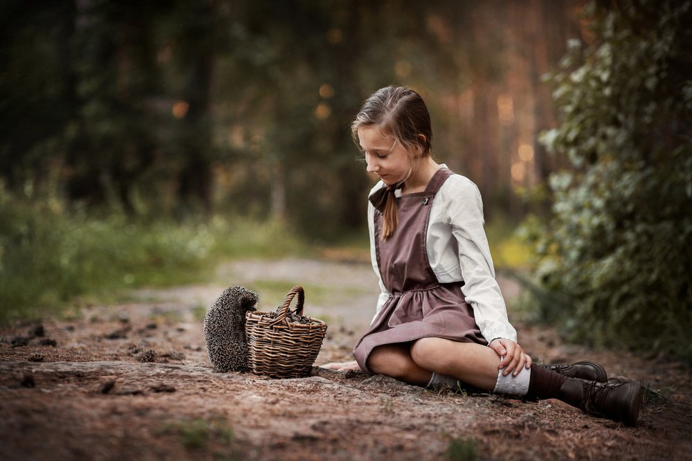 Встреча в лесу