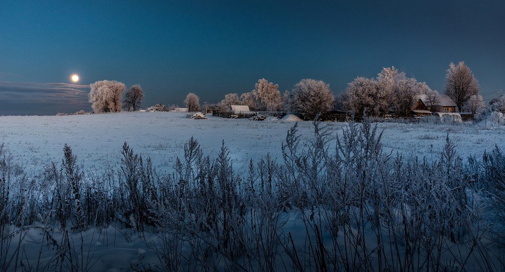 Фотография автора Майя Афзаал