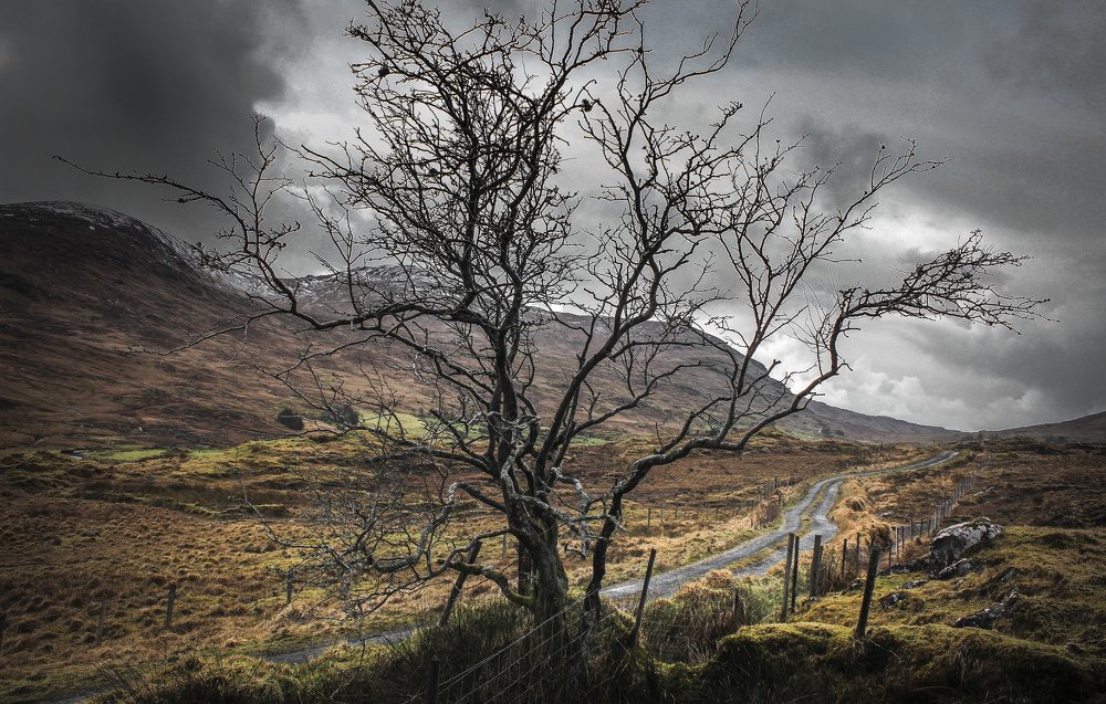 A road less travelled