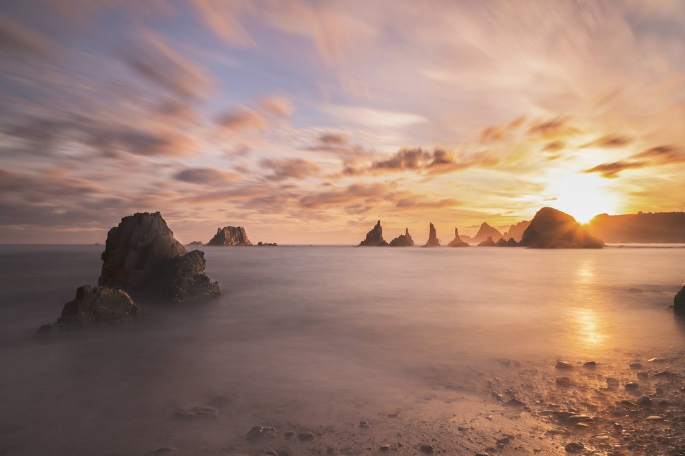 Буйство розового