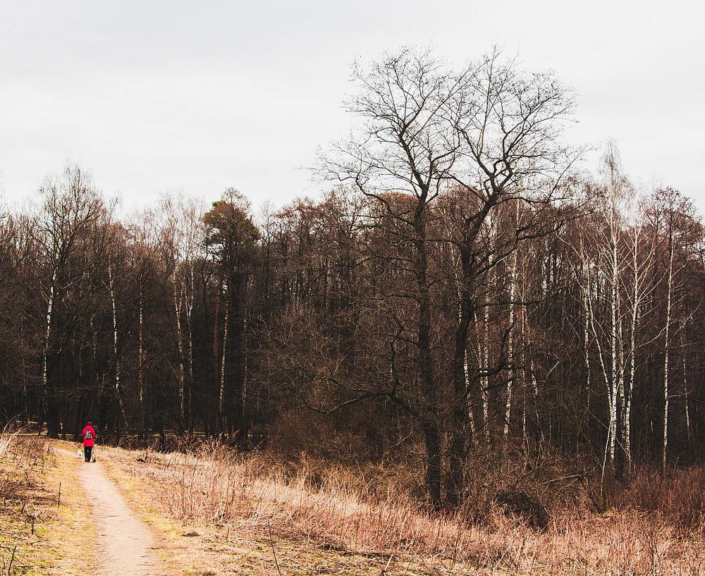 ... А он придет и приведет за собой весну...