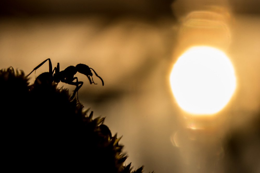 Провожая солнышко...