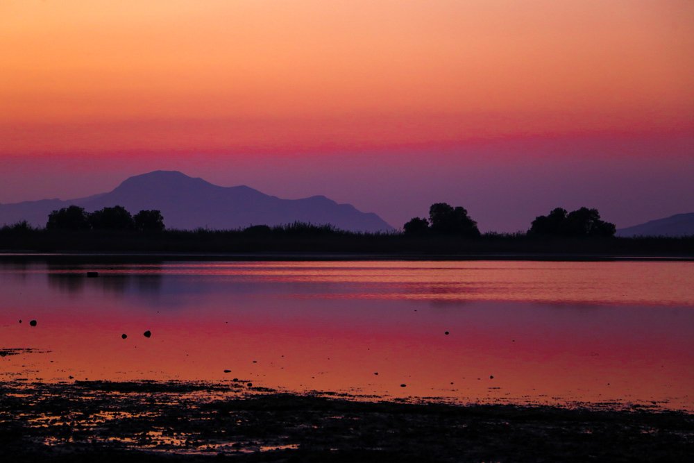 Photograph by Наталья Сидорова