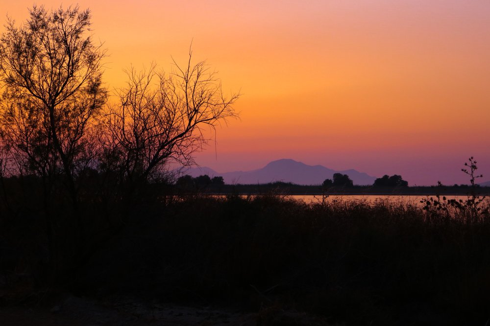 Photograph by Наталья Сидорова