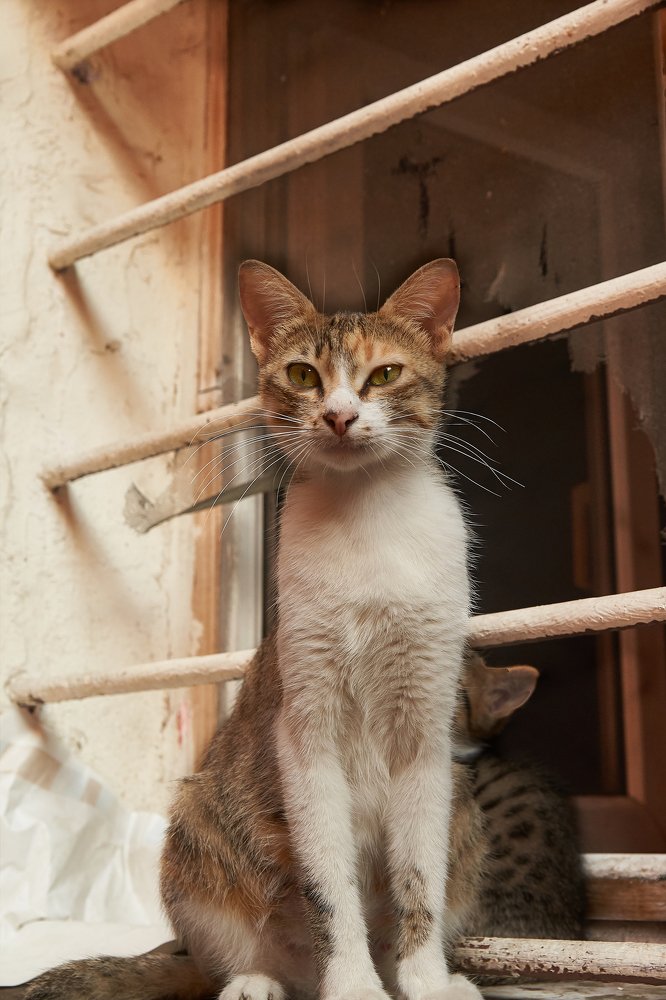 Photograph by Ирина Секачева