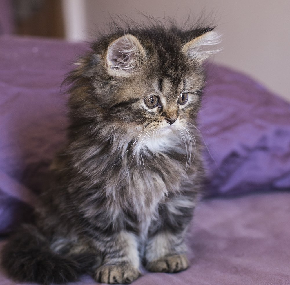 Photograph by Biliana Stefanova