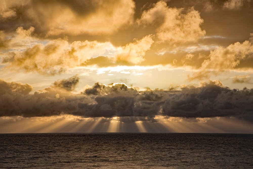 Up Close and Personal