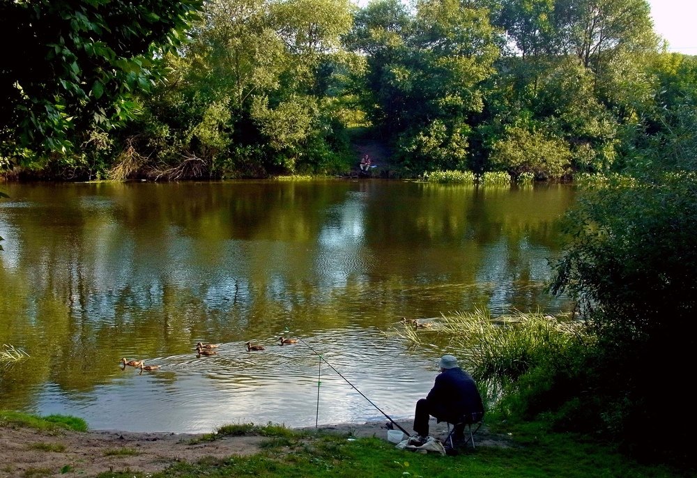 Photograph by леонид натапов