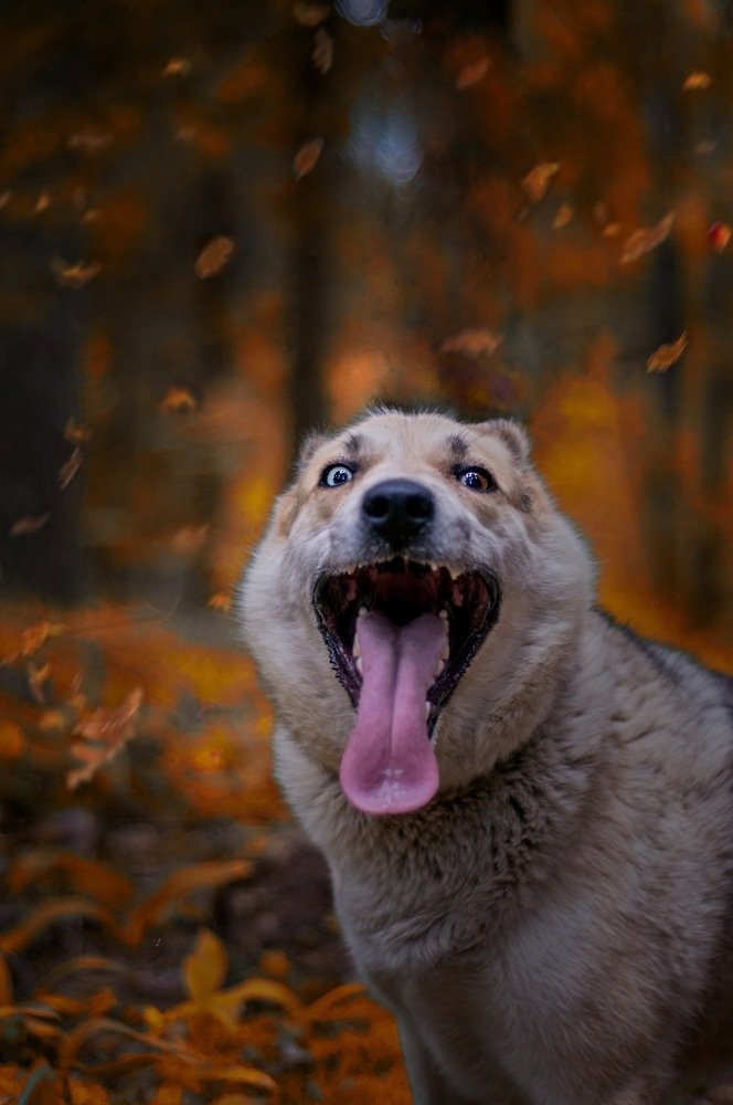 Photograph by Никита Степанов