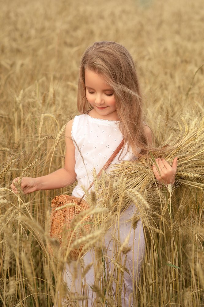 Пшеничные поля